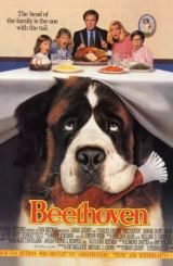 ბეთჰოვენი / Beethoven