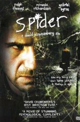 ობობა / Spider