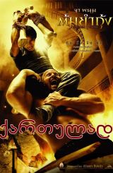 დრაკონის ღირსება / The Protector