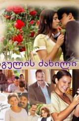 გულის ძახილი / Alma Gêmea