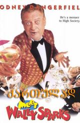 გაიცანი უოლი სპარქსი (ქართულად) / Meet Wally Sparks (qartulad)