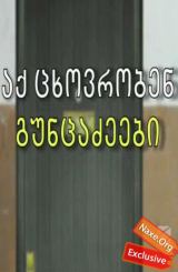 აქ, ცხოვრობენ გუნცაძეები / aq, cxovroben guncadzeebi