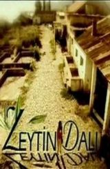 ზეთისხილის ტოტი / Zeytin dali / turquli seriali zetisxilis toti