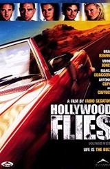 მძარცველები ჰოლივუდიდან / Hollywood Flies