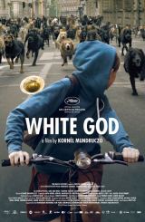 თეთრი ღმერთი (ქართულად) / White God