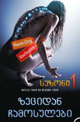 ზეციდან ჩამოსულები / Falling Skies