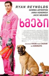 ხმები / The Voices