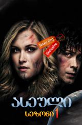 ასეული / The 100