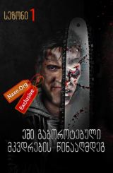 ეში გაბოროტებული მკვდრების წინააღმდეგ / Ash vs Evil Dead