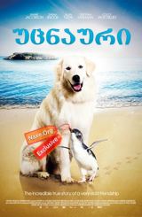 უცნაური / Oddball (ოდბოლი)