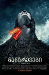 ნანგრევები / The Ruins