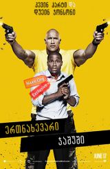 ერთნახევარი ჯაშუში / Central Intelligence