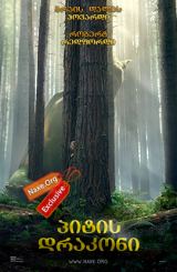 პიტის დრაკონი / pitis drakoni