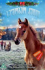 საშობაო კვიცი / The Christmas Colt