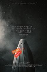მოჩვენების ისტორია / A Ghost Story