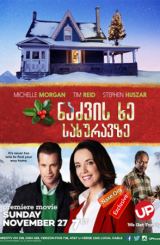 ნაძვის ხე სახურავზე / The Rooftop Christmas Tree