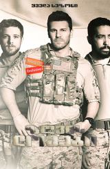 ზღვის ლომები / Seal Team