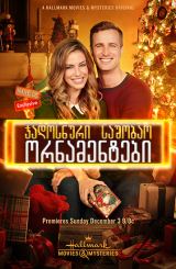 ჯადოსნური საშობაო ორნამენტები / Magical Christmas Ornaments