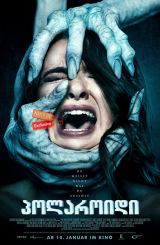 პოლაროიდი / Polaroid