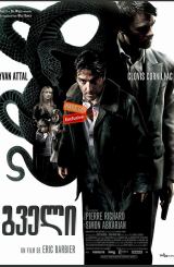 გველი / gveli