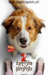 ძაღლური ცხოვრება 2 / A Dog’s Journey 2