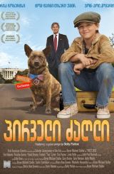 პირველი ძაღლი (ქართულად) / First Dog / pirveli zagli (qartulad)