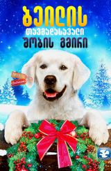 ბეილის თავგადასავალი: შობის გმირი / Adventure of Bailey: Christmas Hero