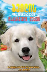 ბეილის თავგადასავალი: დაკარგული ლეკვი / Adventures of Bailey: The Lost Puppy