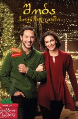 შობა ჰოუმსტედში / Christmas in Homestead