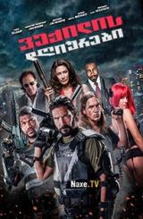 ვექილის დღიურები / Vigilante Diaries / veqilis dgiurebi