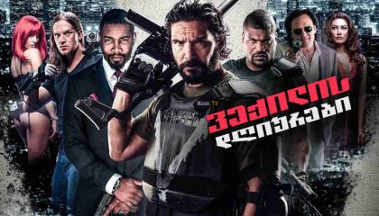 ვექილის დღიურები / Vigilante Diaries / veqilis dgiurebi