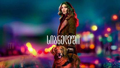 სიბნელეში / In the Dark