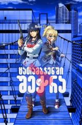 ცათამბჯენში შეჭრა / catambjenshi shechra