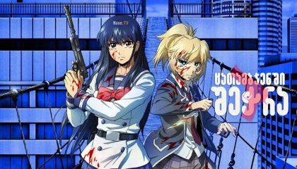 ცათამბჯენში შეჭრა / catambjenshi shechra