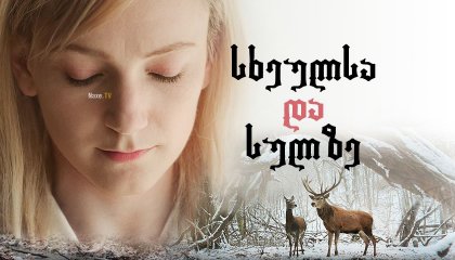 სხეულსა და სულზე / On Body and Soul (Testről és Lélekről)