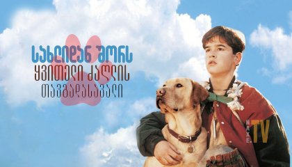 სახლიდან შორს: ყვითელი ძაღლის თავგადასავალი / Far from Home: The Adventures of Yellow Dog