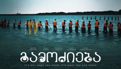 გამოძიება / The Investigation