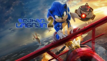 ზღარბი სონიკი 2 / Sonic the Hedgehog 2