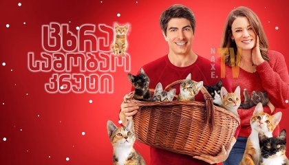 ცხრა საშობაო კნუტი / The Nine Kittens of Christmas