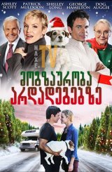 მოგზაურობა არდადეგებზე / Holiday Road Trip