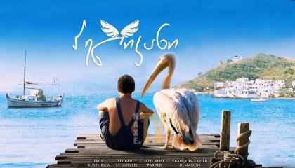 პელიკანი / Nicostratos the Pelican