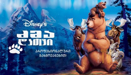 ძმა დათვი / Brother Bear