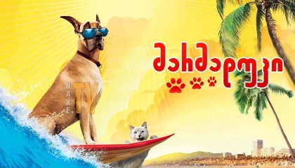 მარმადუკი / Marmaduke