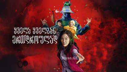 ყველა ყველგან ერთდროულად / Everything Everywhere All at Once