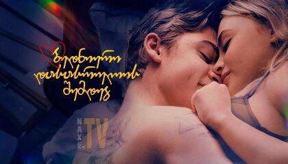 ბედნიერი დასასრულის შემდეგ / After Ever Happy