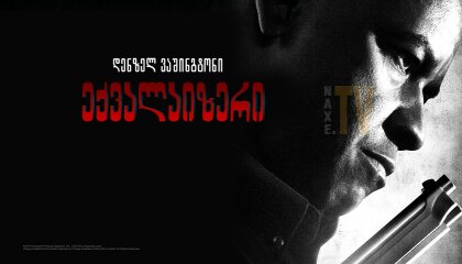 ექვალაიზერი / eqvalaizeri