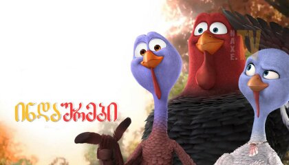 ინდაურები / Free Birds