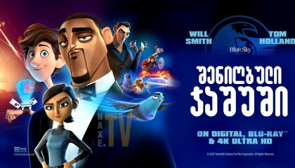 შენიღბული ჯაშუში / shenigbuli jashushi