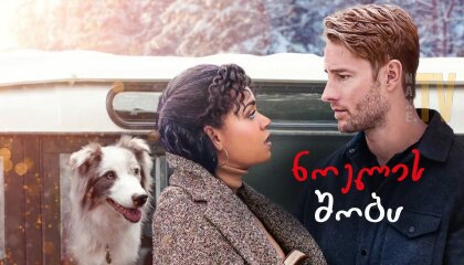 ნოელის შობა / The Noel Diary