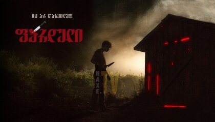 ფარდული / The Shed